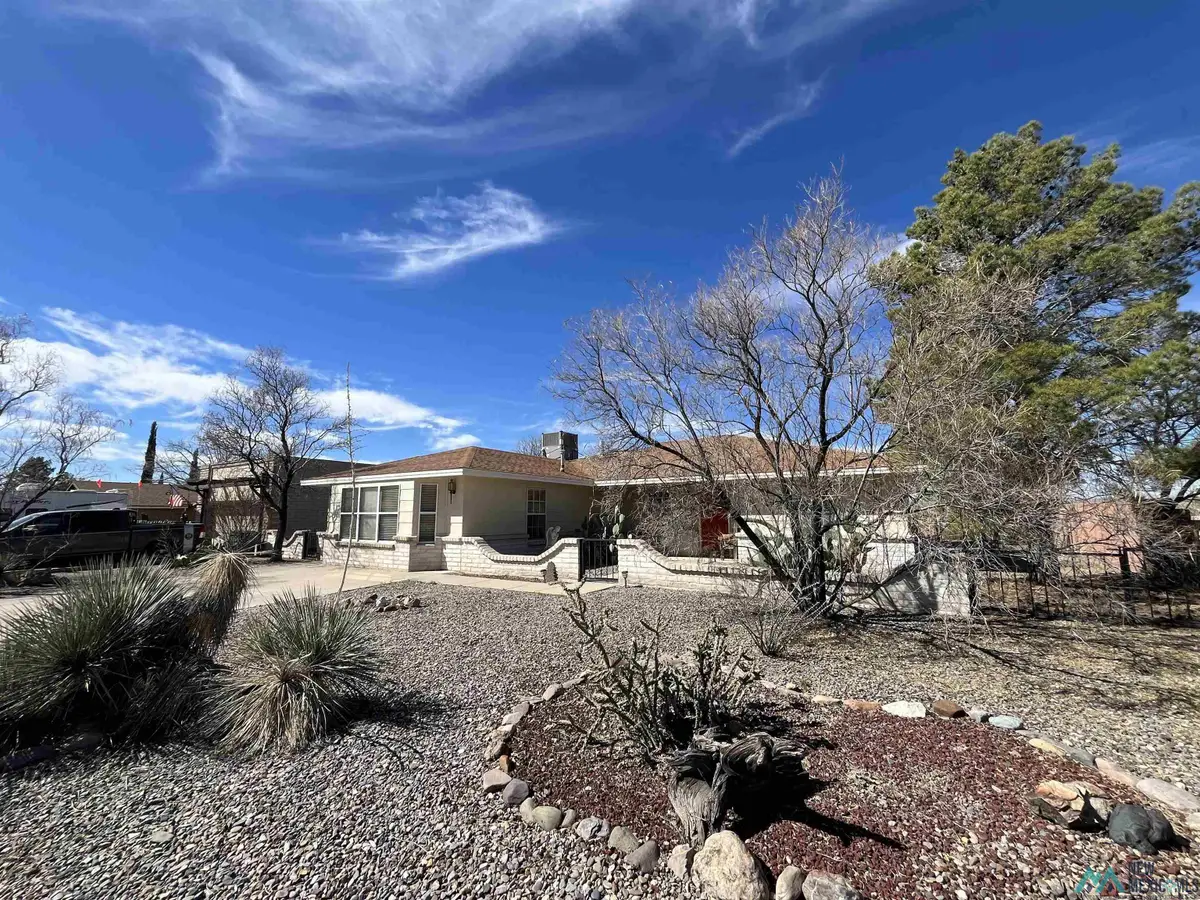 505 Camino Del Cielo Street, Truth Or Consequences, NM 87901 - #1