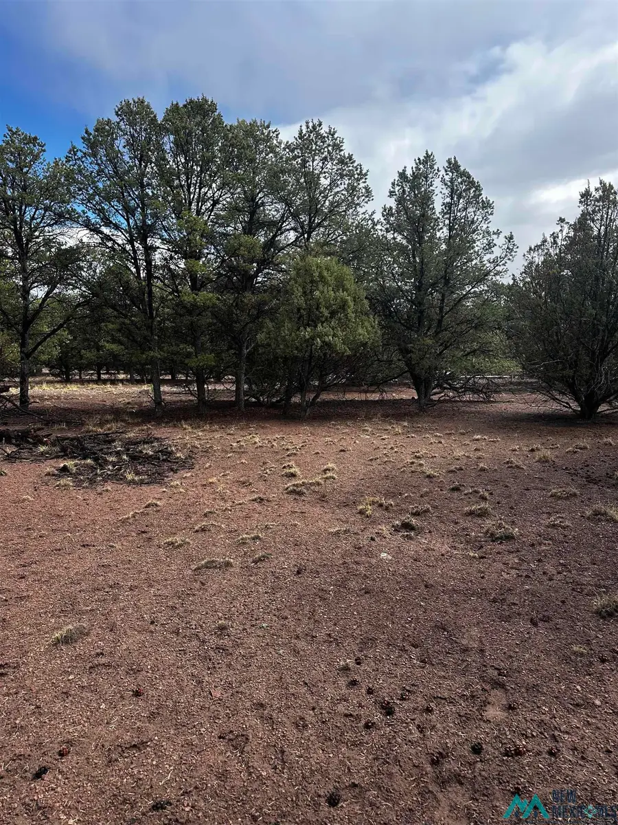 9 Juniper Way, Datil, NM 87821 - #2