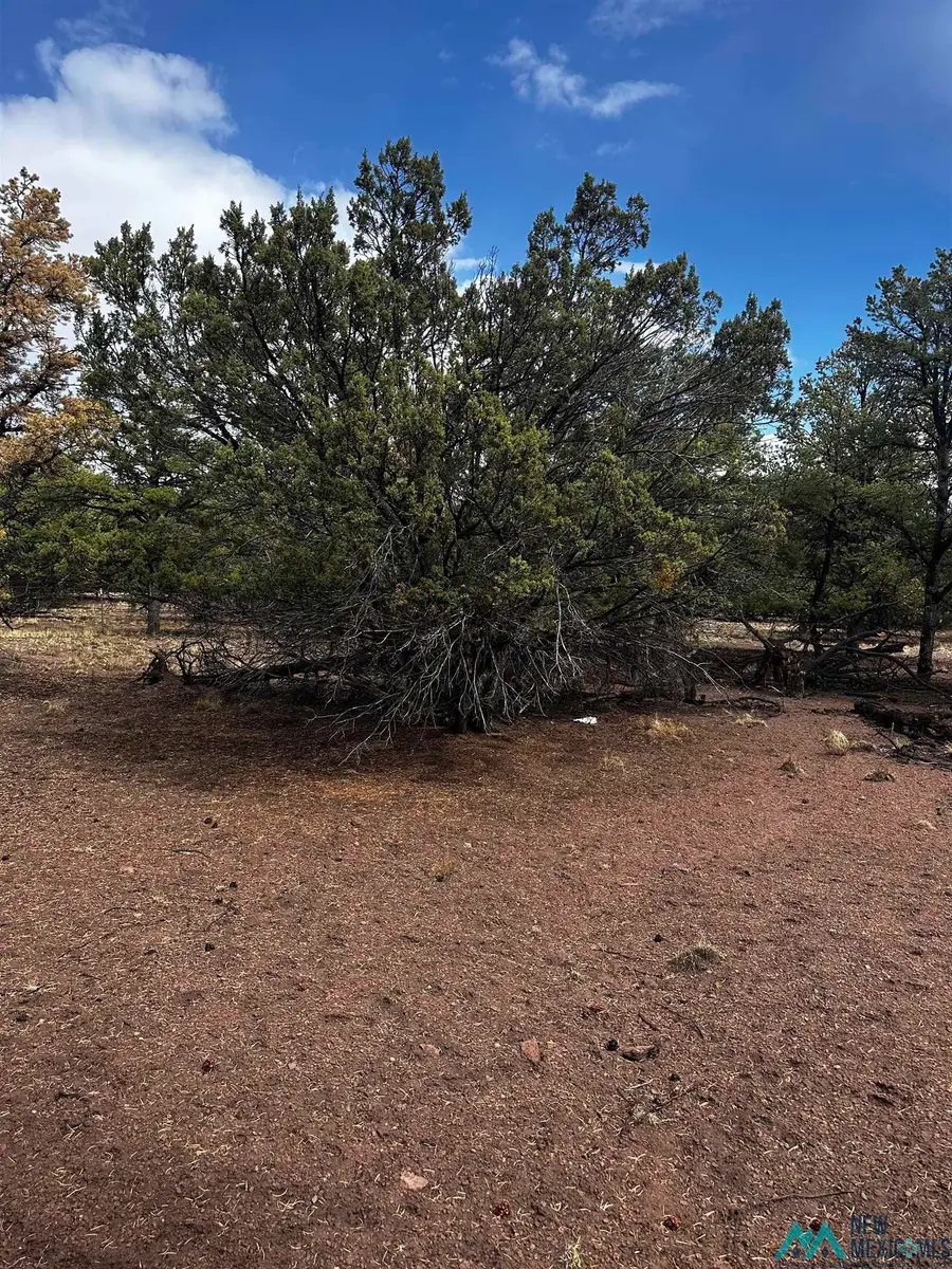 9 Juniper Way, Datil, NM 87821 - #3