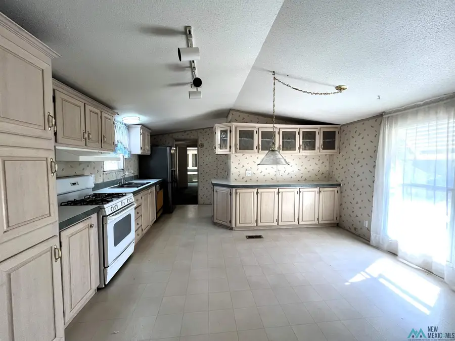 700 Carmen St, Williamsburg, NM 87942 - #3