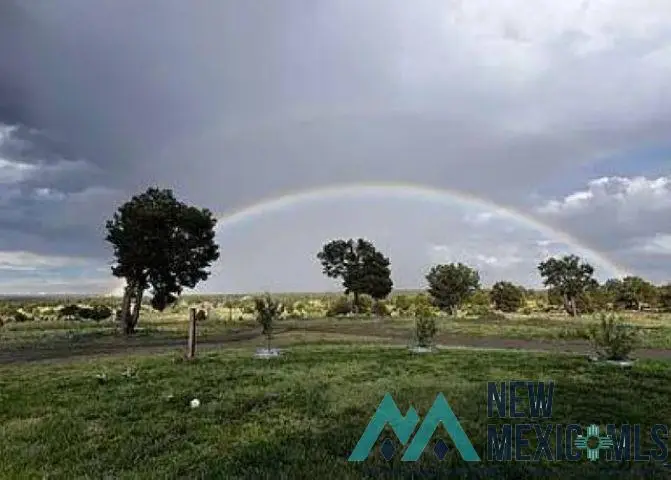32 W Hickey Road, Pie Town, NM 87827 - #2