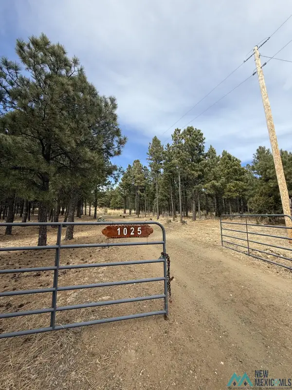 1025 Hwy 94 Highway, Mora, NM 87742