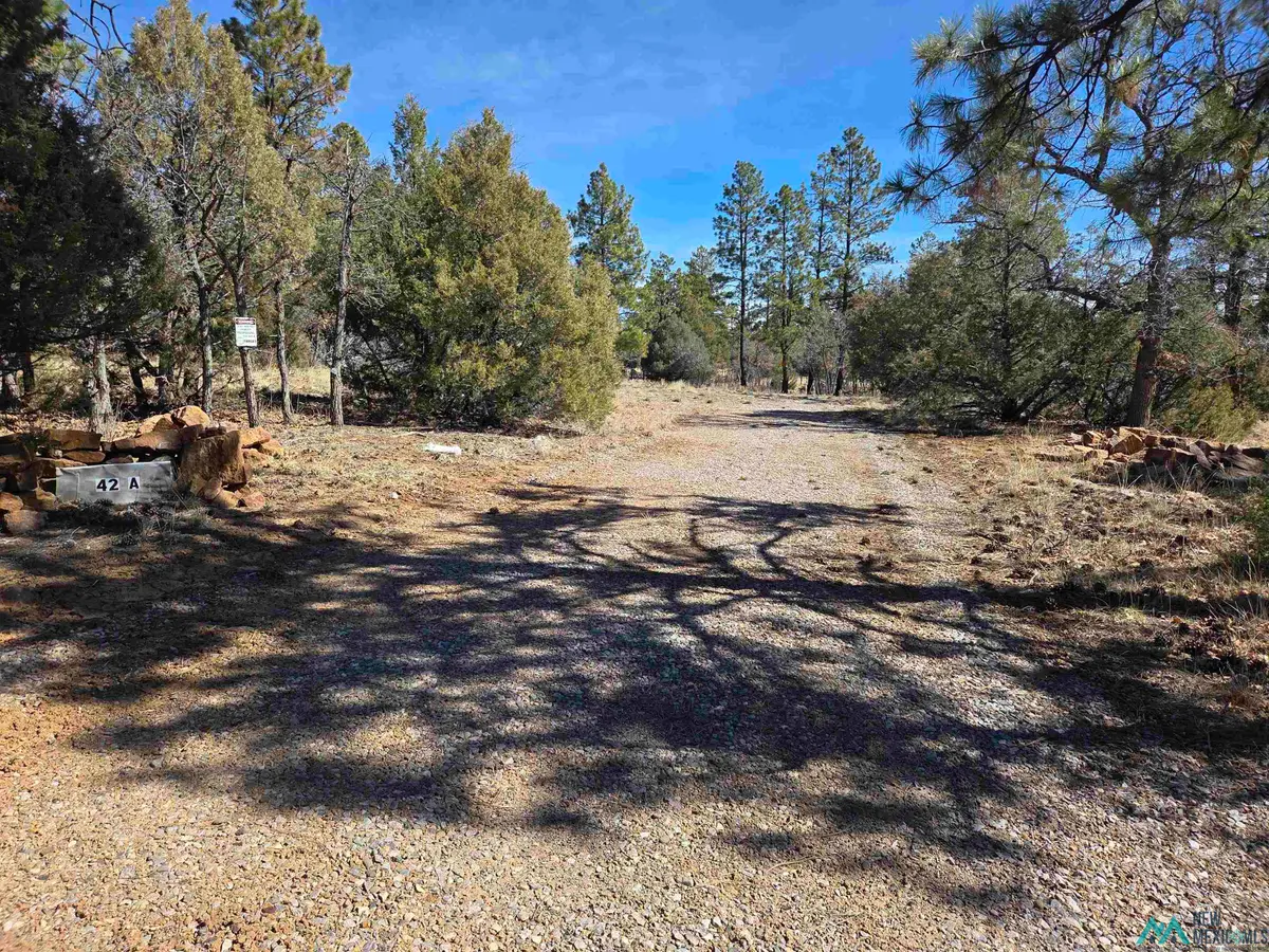 42 Buck Dr, Los Ojos, NM 87551 - #1