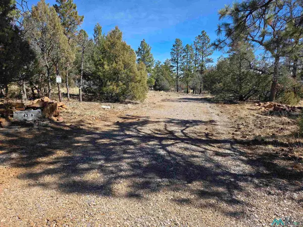 42 Buck Dr, Los Ojos, NM 87551