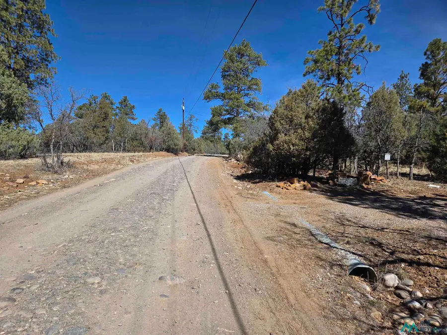 42 Buck Dr, Los Ojos, NM 87551 - #2