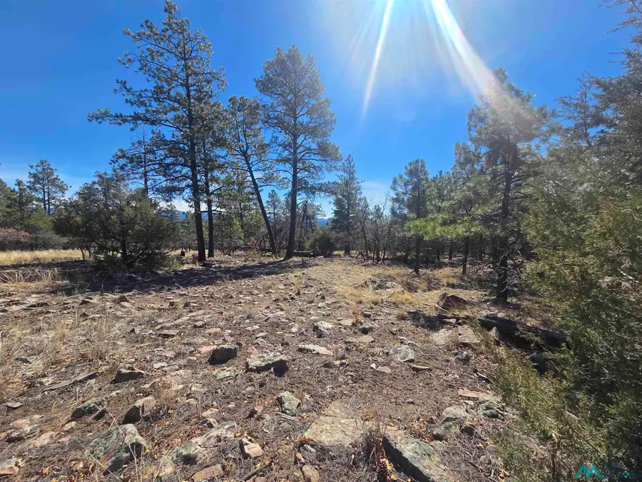 42 Buck Dr, Los Ojos, NM 87551 - #3