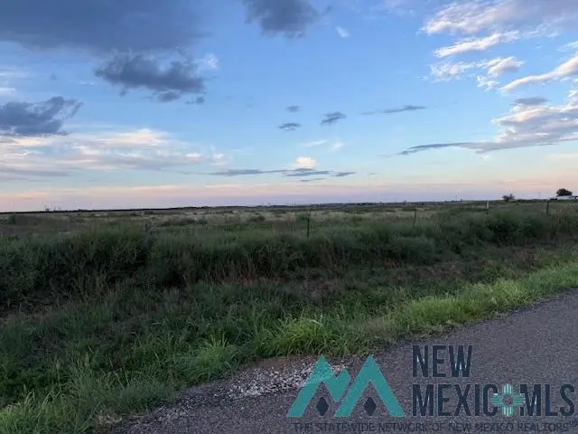 590 E Wilhite, Clovis, NM 88101 - #2