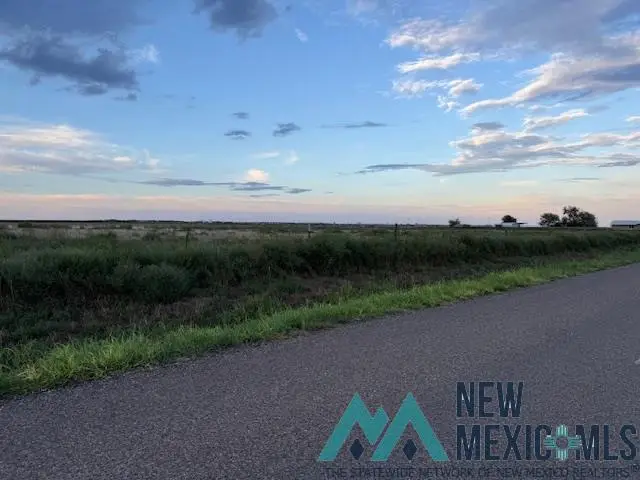 590 E Wilhite, Clovis, NM 88101 - #3