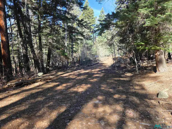 29 & 30 Brazos Lodge Estates Drive, Chama, NM 87520