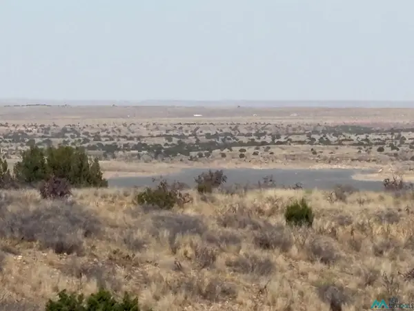 Lot 66 W Campground Lane, Lake Sumner, NM 88119