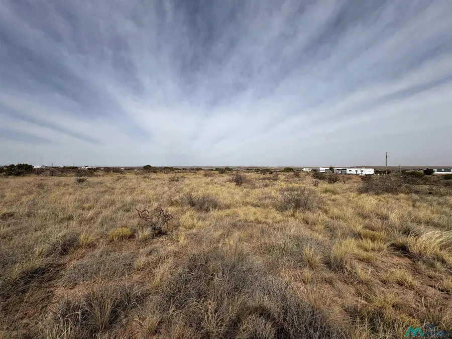 Lot 66 W Campground Lane, Lake Sumner, NM 88119 - #2