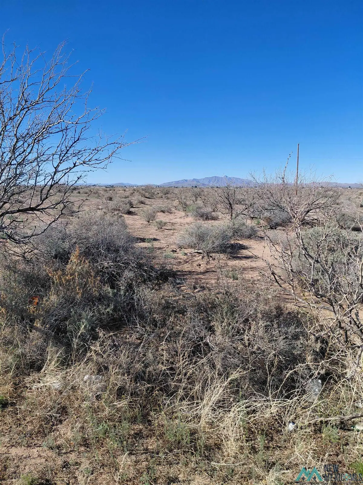 XX Dona Ana Road, Deming, NM 88030 - #1