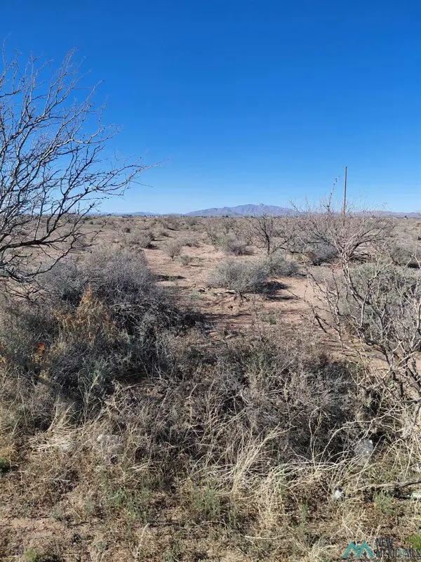 XX Dona Ana Road, Deming, NM 88030