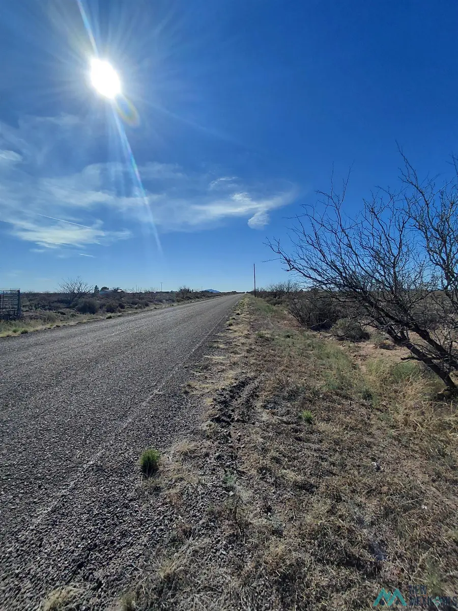 XX Dona Ana Road, Deming, NM 88030 - #3