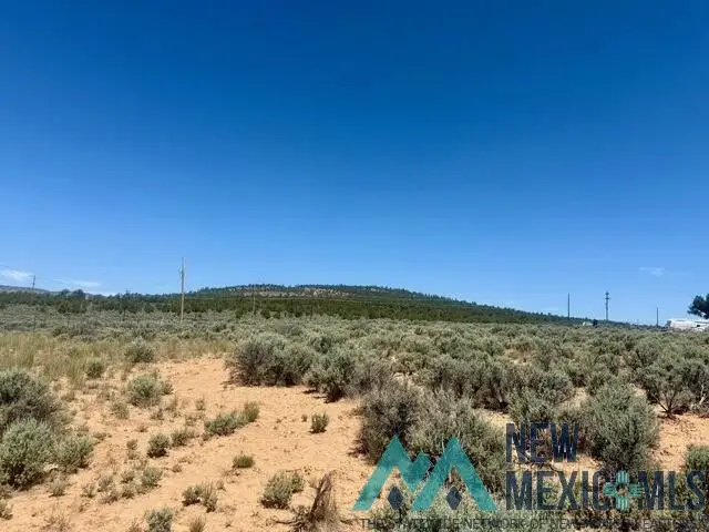 3231 Nm 112 Highway, Tierra Amarilla, NM 87575 - #3