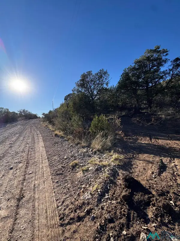 Lot 80 Longfellow Road, Timberon, NM 88350