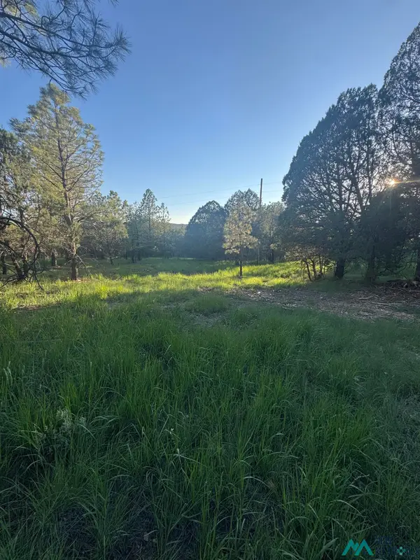 Lot 12 & 19 Rio Pinar Drive, Timberon, NM 88350