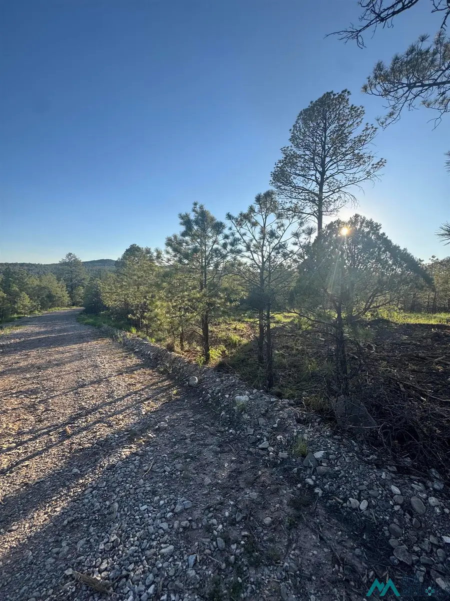 Lot 12 & 19 Rio Pinar Drive, Timberon, NM 88350 - #2