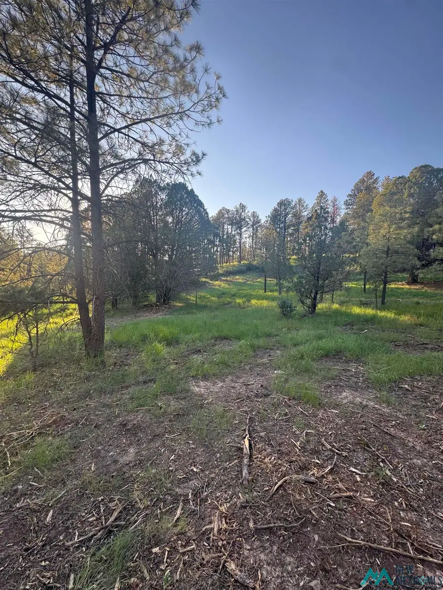 Lot 12 & 19 Rio Pinar Drive, Timberon, NM 88350 - #3