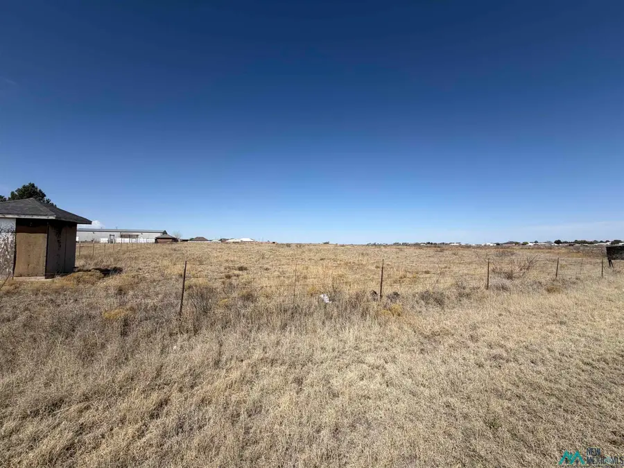 TBD Rolling Meadows Street, Hobbs, NM 88242 - #2