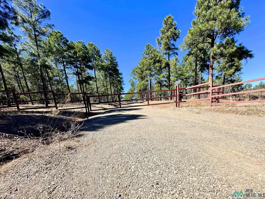 30 S Verga Drive, Tijeras, NM 87059 - #2
