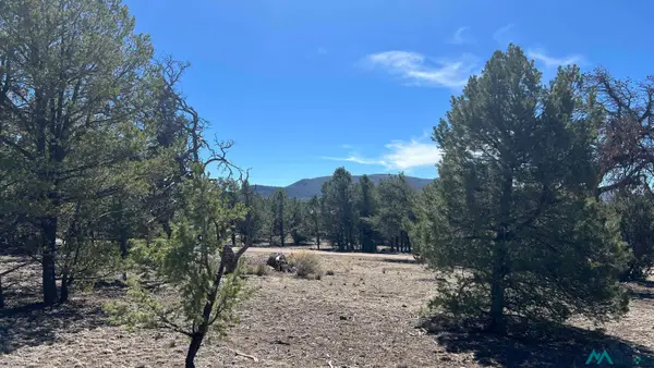 12 Elk View Circle Road, Quemado, NM 87829