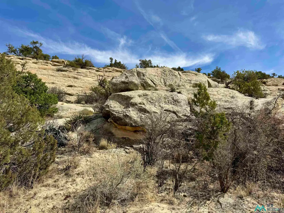 TBD Highway 117 Highway, Grants, NM 87020 - #1