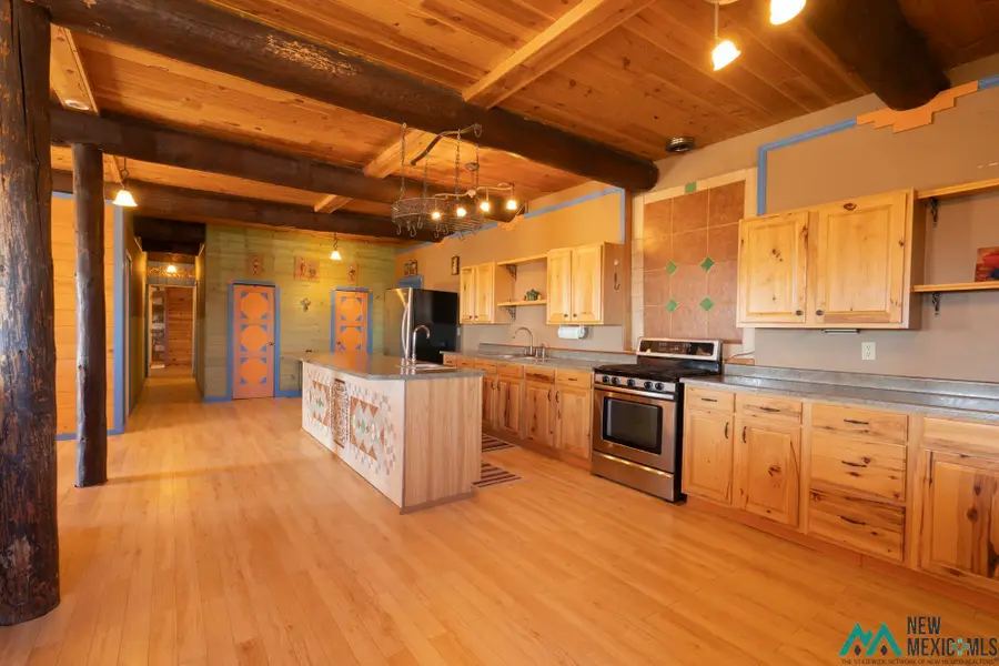 7303 Bursum Road, Datil, NM 87821 - #3