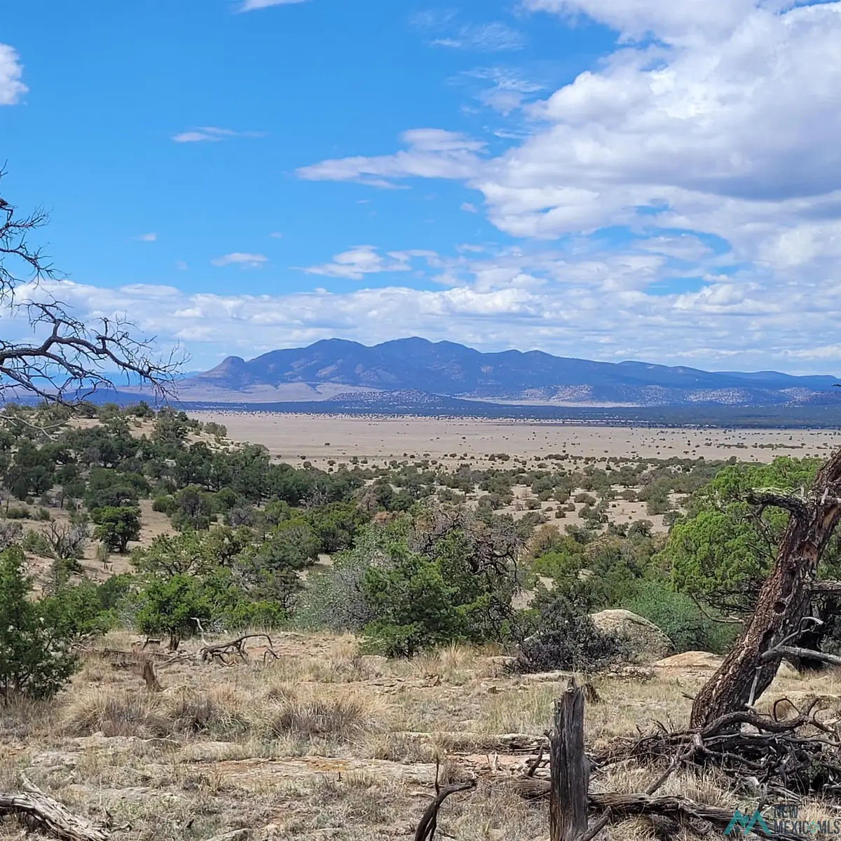 XX Lookout Loop, Datil, NM 5 - #1