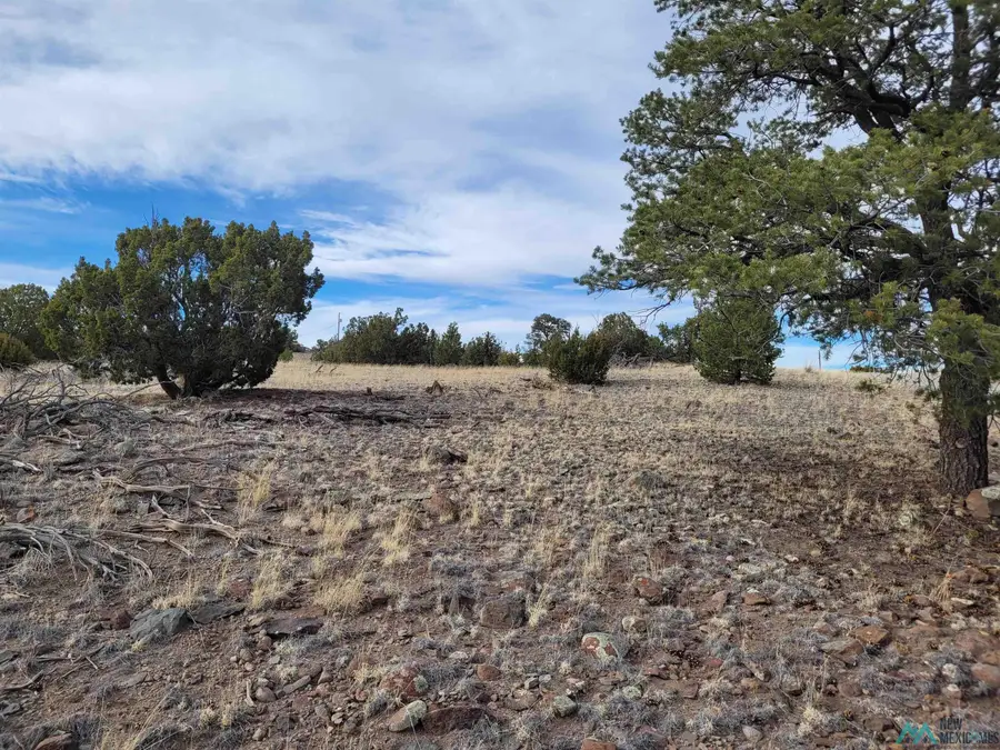 47 Cougar Run, Datil, NM 5 - #2