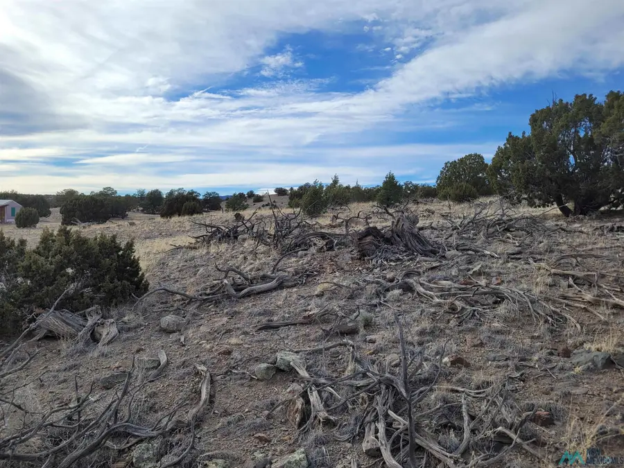 47 Cougar Run, Datil, NM 5 - #3