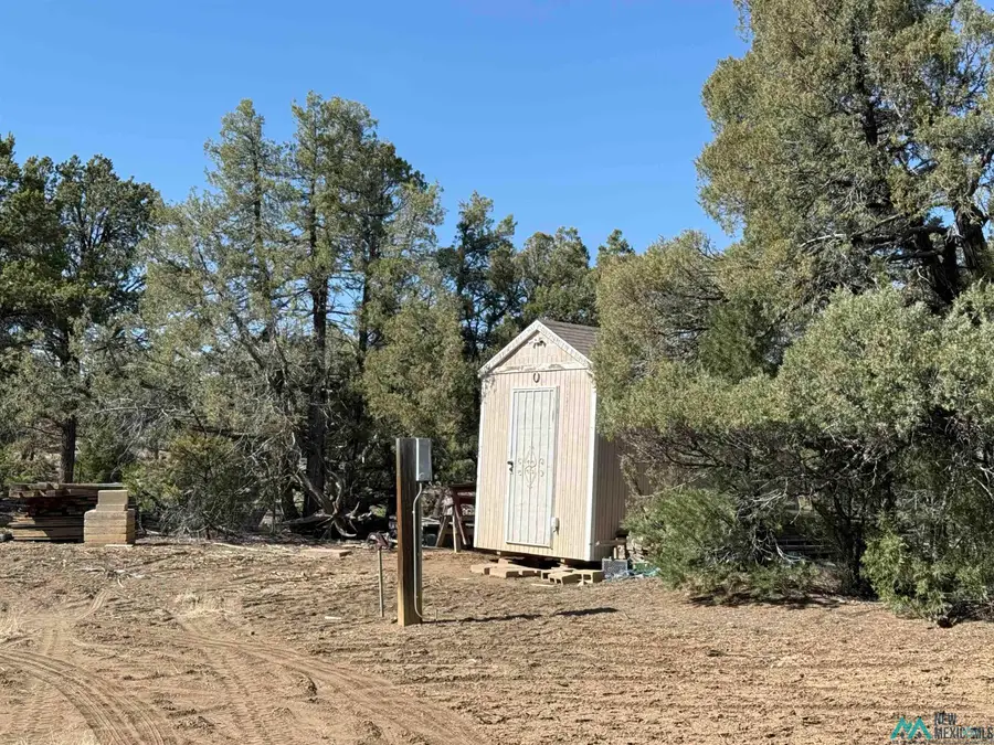 0 Christy Lane Lane, Los Ojos, NM 87551 - #2
