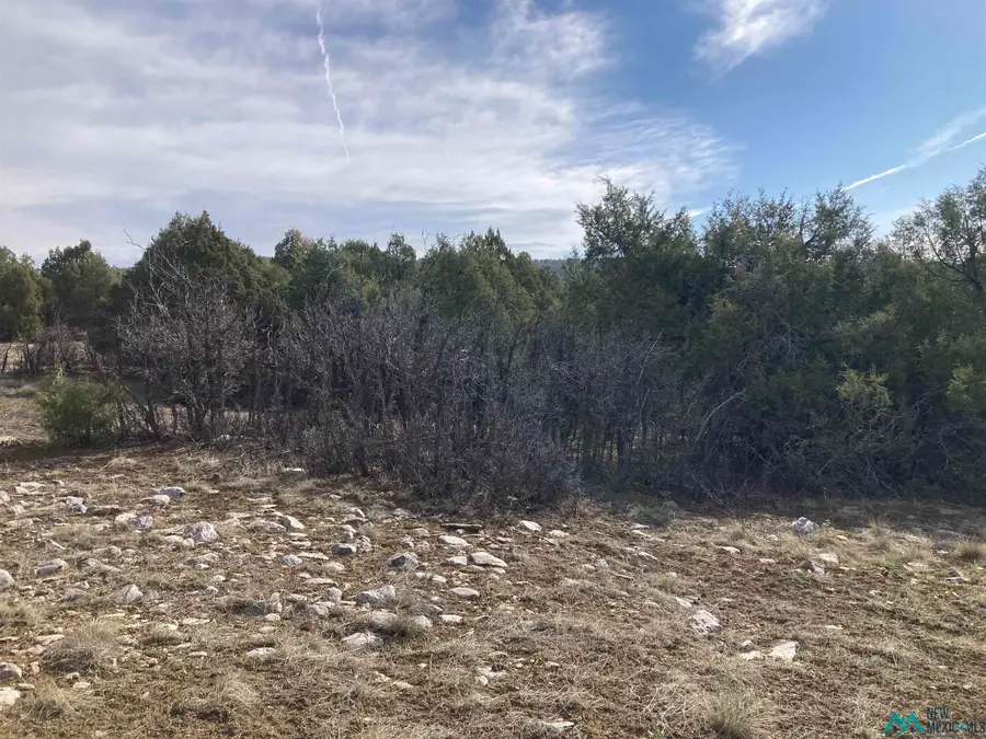 TBD Cr 341, Chama, NM 87520 - #2