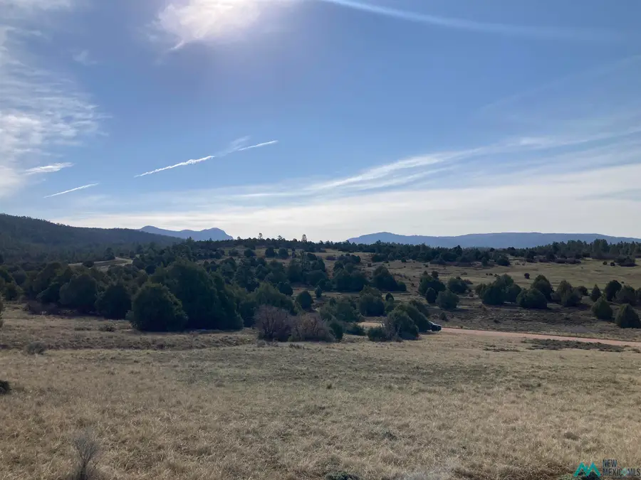 TBD Cr 341, Chama, NM 87520 - #3