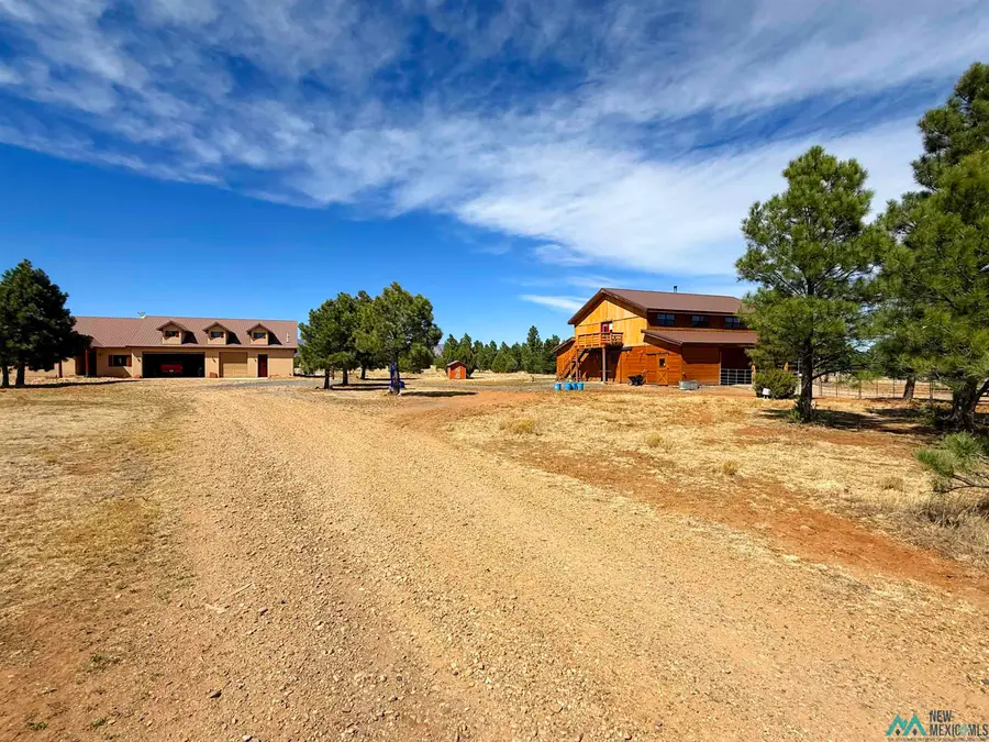 36 Penny Lane, Las Vegas, NM 87701 - #2