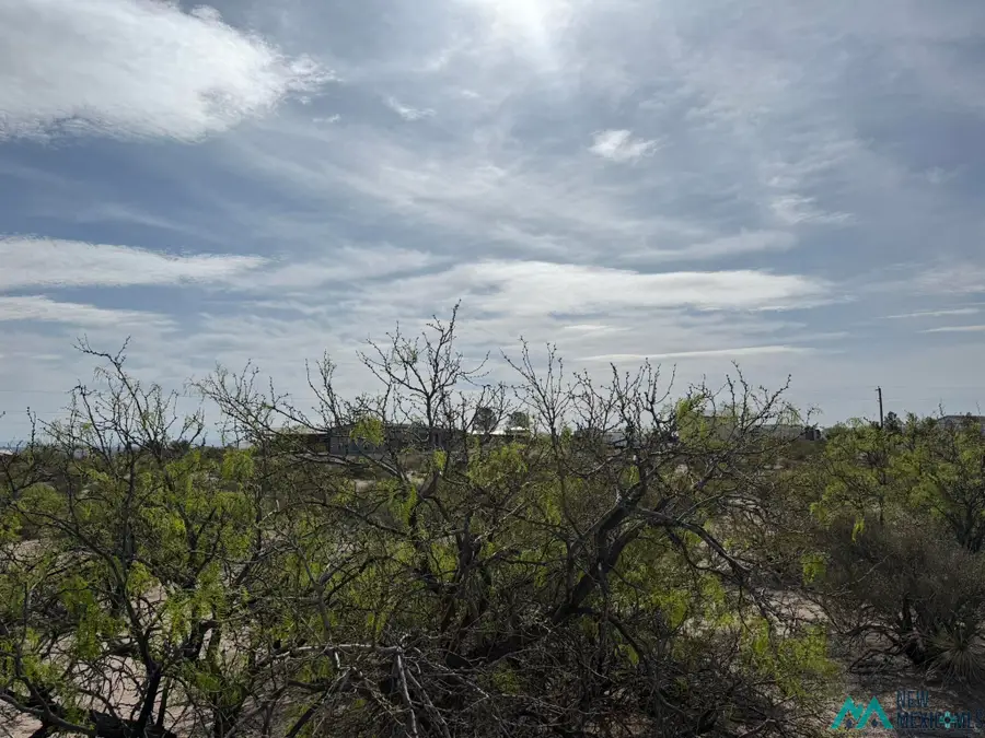119 Superior Drive, Elephant Butte, NM 87935 - #3