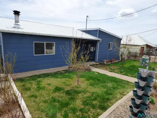 1131 Dwyer Avenue, Raton, NM 87740