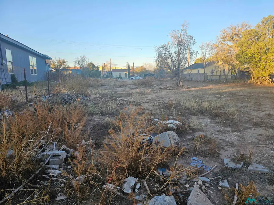 1005 W Fox Street, Carlsbad, NM 5 - #3