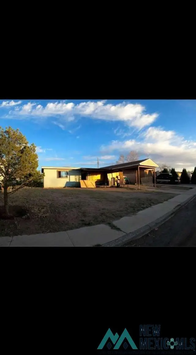 1536 N San Mateo Street, Hobbs, NM 88240 - #3