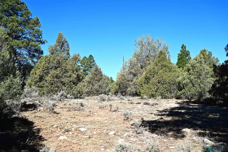 00 Nm Sr 64 Highway, Tierra Amarilla, NM 87575 - #3