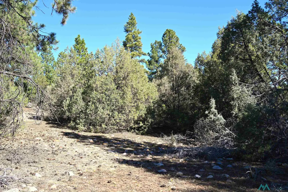 00 Nm Sr 64 Highway, Tierra Amarilla, NM 87575 - #1