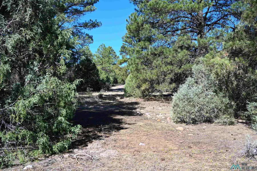 00 Nm Sr 64 Highway, Tierra Amarilla, NM 87575 - #2