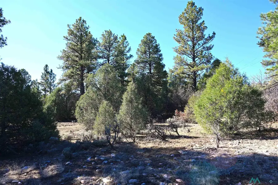 00 Nm Sr 64 Highway, Tierra Amarilla, NM 87575 - #3