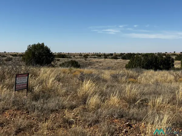 Sunset Place, Fort Sumner, NM 88119