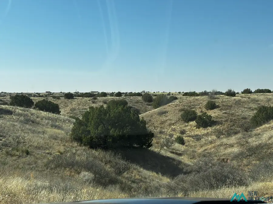 Sunset Place, Fort Sumner, NM 88119 - #3