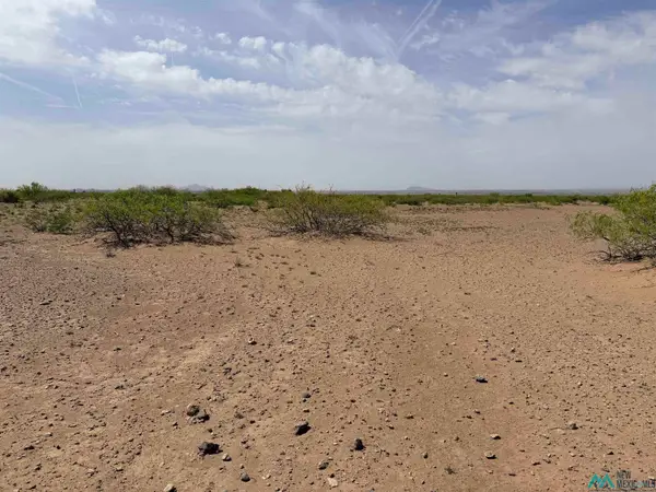 XXXX Needles Eye Rd Se, Deming, NM 88030