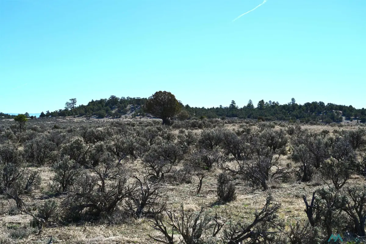 00 Pajarito Rd Road, Tierra Amarilla, NM 87575 - #1