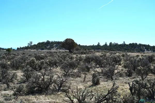 00 Pajarito Rd Road, Tierra Amarilla, NM 87575