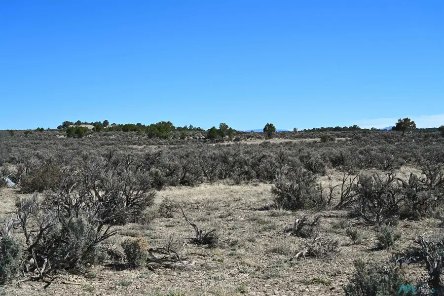 00 Pajarito Rd Road, Tierra Amarilla, NM 87575 - #2