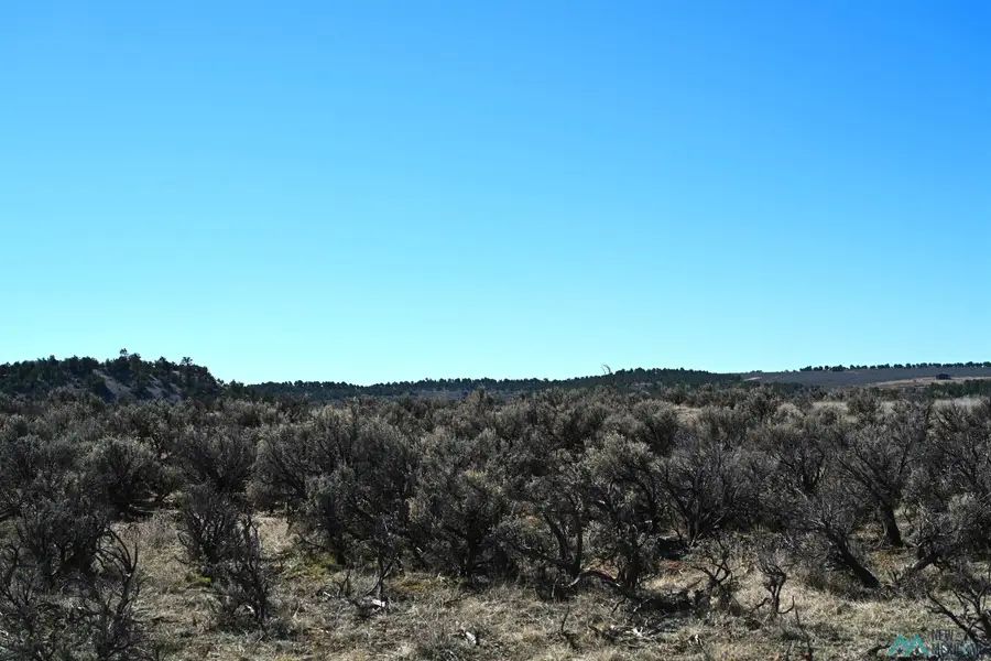 00 Pajarito Rd Road, Tierra Amarilla, NM 87575 - #3